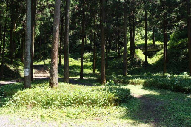 大手門跡付近の広場。階段の上の坂道を右に進んで行きます。