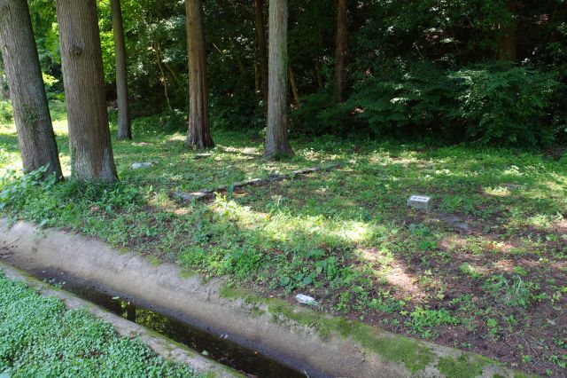 建物跡と水路跡。