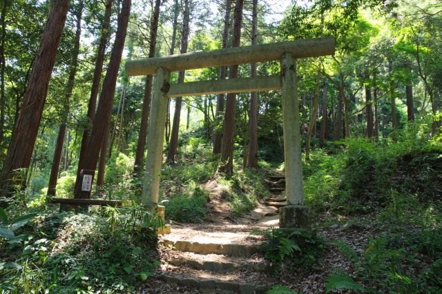 自然豊かな山道を登って行きます。2つ目の鳥居。