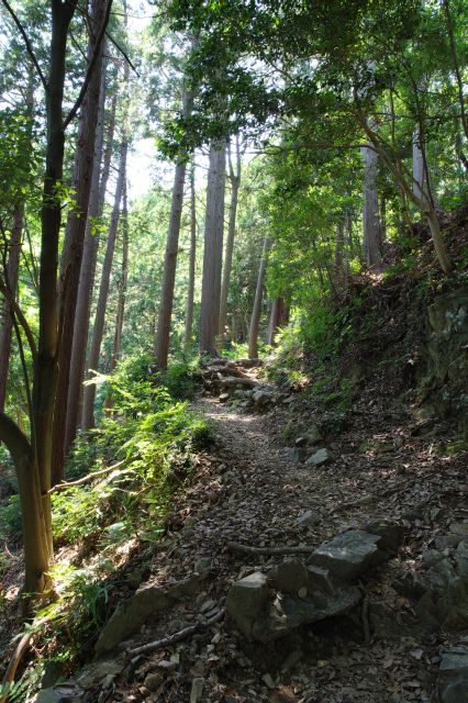 さらにひたすら登山です。