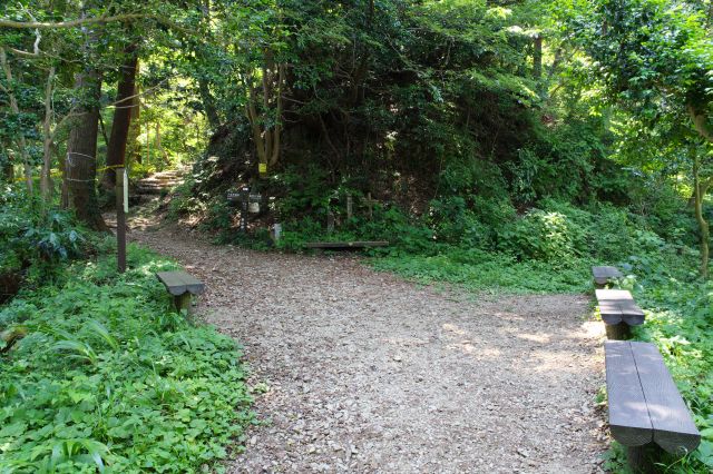 道が合流する柵門跡が二番目の平坦地で休憩できます。