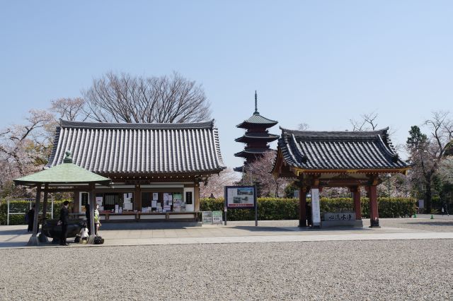 五重塔方面。広くてきれいなお寺です。