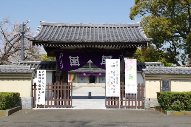 正面奥に本殿があります。