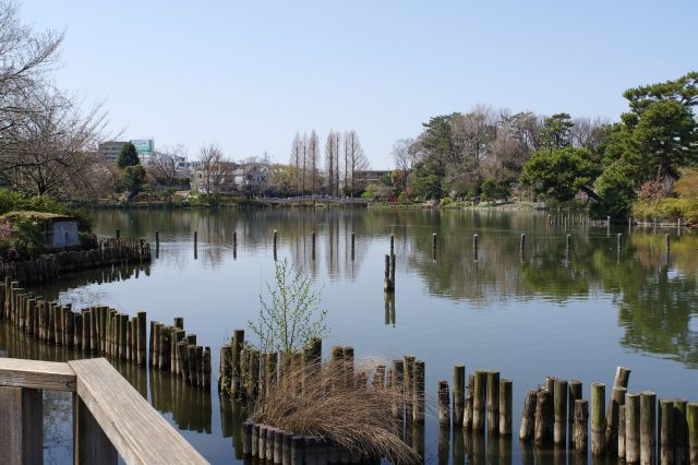 北東側の水生鑑賞園へ。