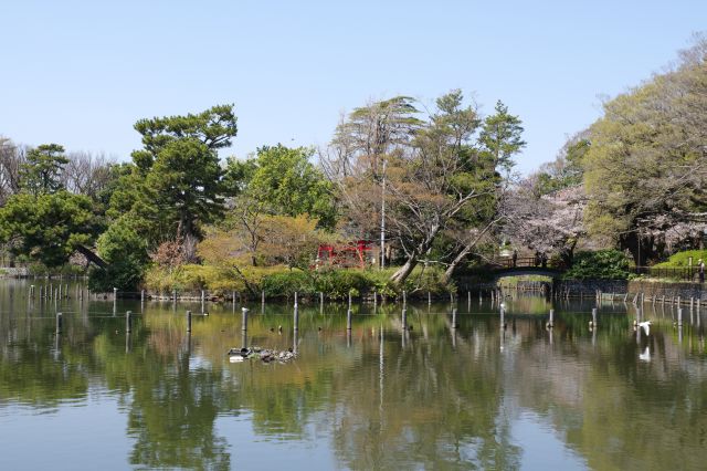 弁天島の厳島神社。