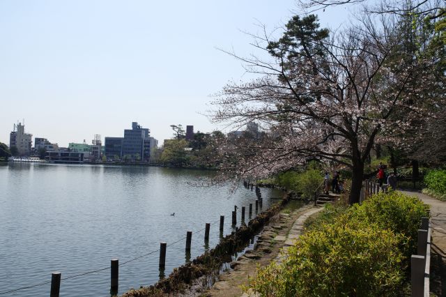 心地よい池沿いを進みます。