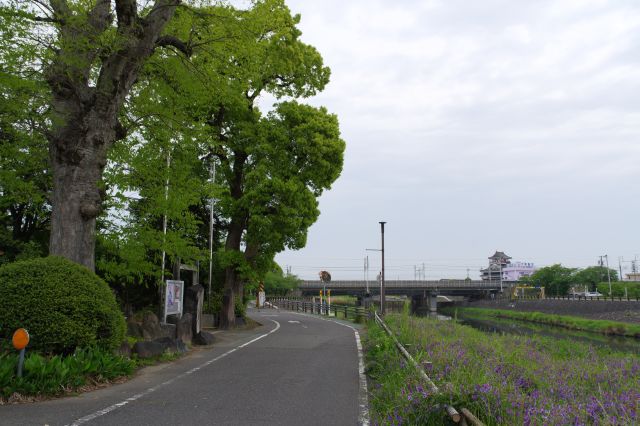 静かな川沿いの道、西岸が城跡のようです。