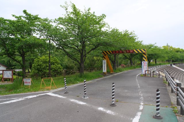 豊かに木々が茂る清洲公園が見えてきます。