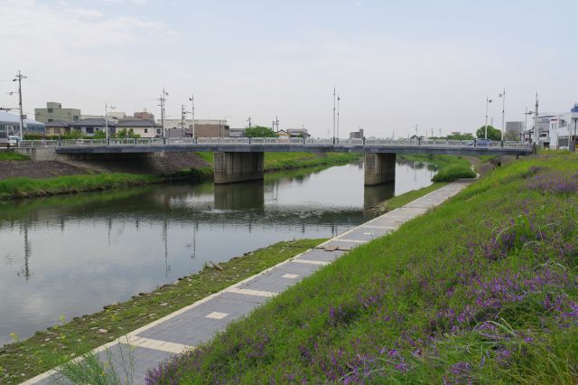 五条橋を振り返る。