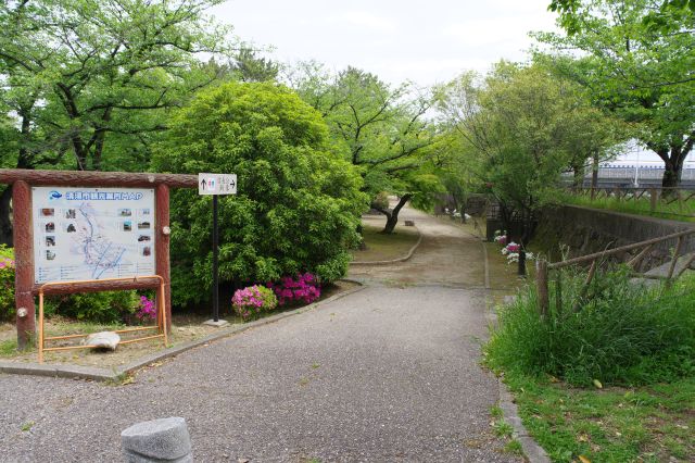 清洲公園へ。豊かな緑の木々がありひと気がなく静かです。