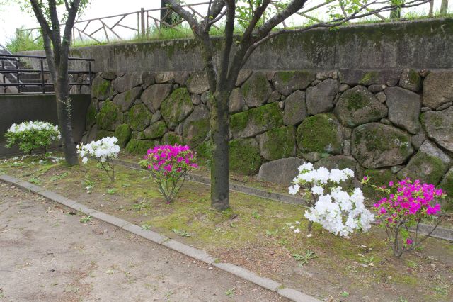 川の土手側は石垣のような造りも。