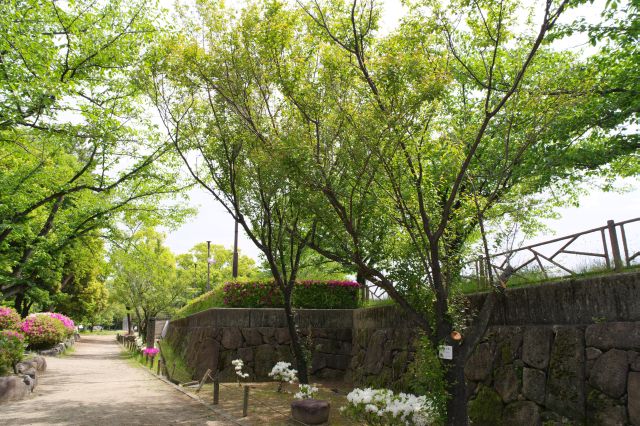 心地よい公園内を進んで行きます。