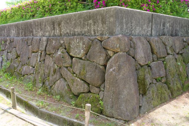 石垣が城跡の雰囲気を出します。