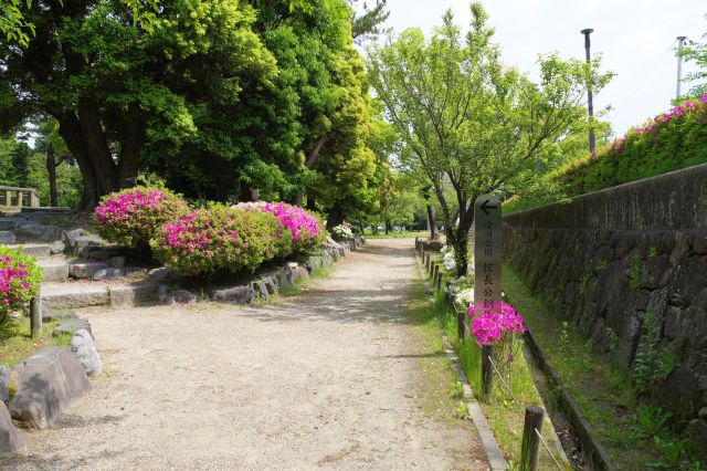 左の丘に信長公銅像があります。
