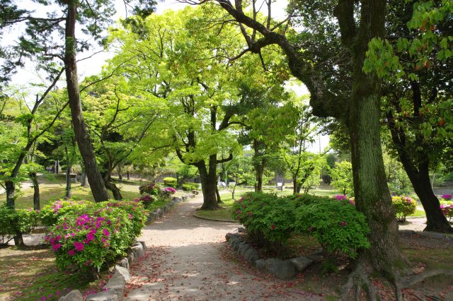 公園の北側へ。自然豊かで自然の香りがして落ち着きます。