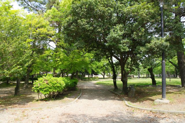 緑の木々が豊かな公園内を進みます。