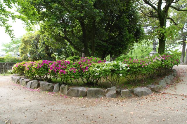 植物が心地よい憩いの場。