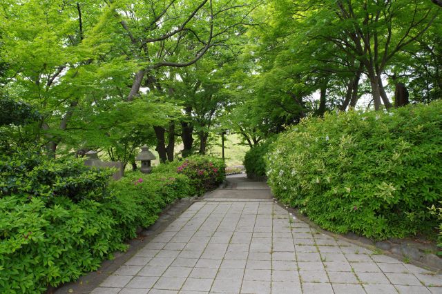豊かに茂る緑の中の心地よい公園です。
