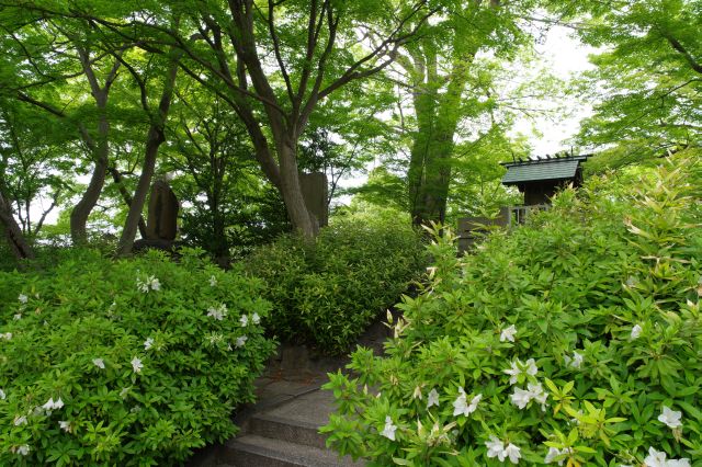 奥の西側には小高い丘の天守台跡があります。