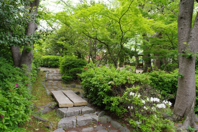 別の道から戻って行きます。庭園のような心地よい小路。