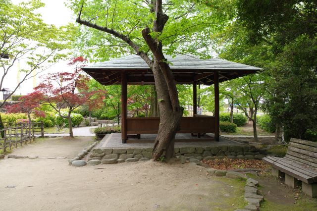 四阿へ戻ってきました。裏手は小広場。