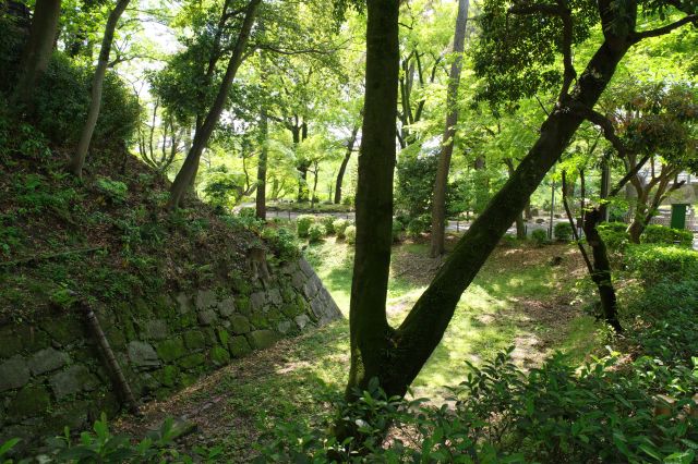 公園から自然豊かな風景に変わりました。