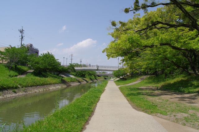 直線の伊賀川の北側。板谷橋が見えます。