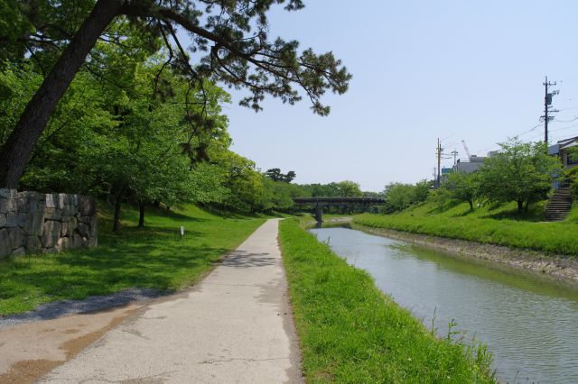 伊賀川の南側。奥には竹千代通りの竹千代橋。