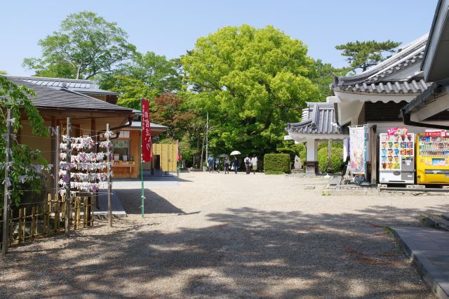 南側の神橋を渡り本丸へ。右手には巽閣。