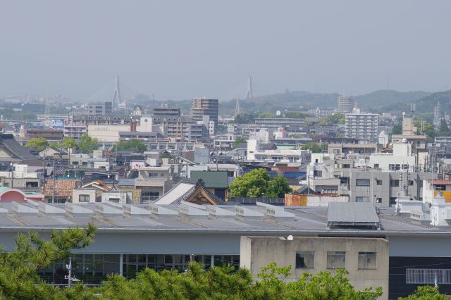 ズーム、手前に大林寺の屋根、中央右に大樹寺（見えづらい）、東海環状自動車道の橋。