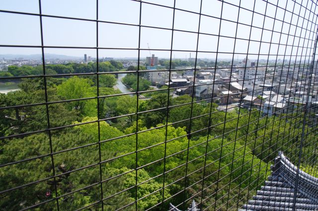 川の合流地点。緑があふれます。