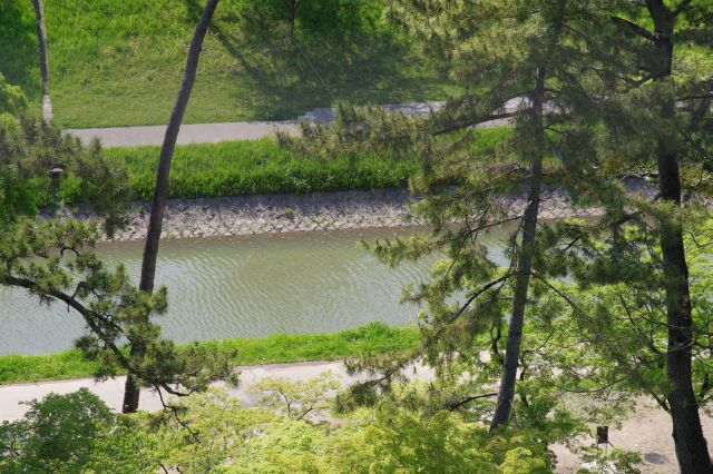 伊賀川、板谷門跡付近。