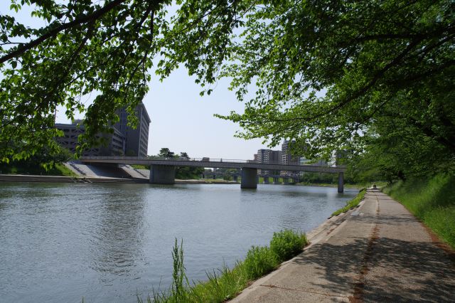 新しい桜城橋。約15分で駅に着きます。