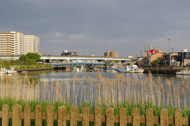 左側の新堀川方面。車が行き交います。