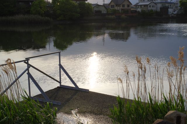 静かに水面に輝く夕陽。