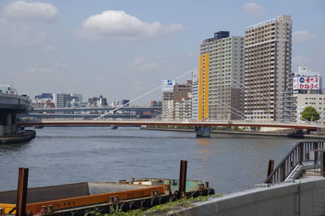 吊橋の新大橋。