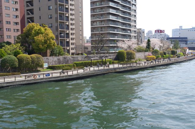 渡った先の永代公園。