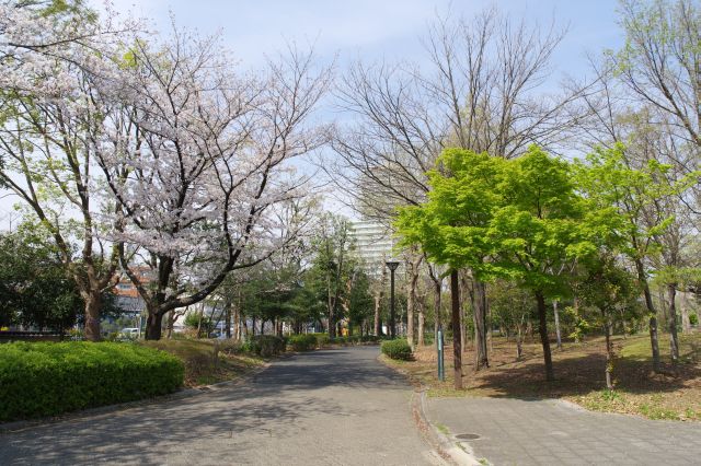 自然が心地よい園内を進みます。