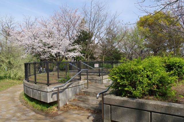 様々な植物が植えられ土の香りが広がる。