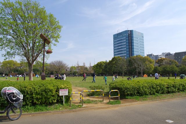 広大なふれあい広場は開放的で日当たりが良く、沢山の人が遊び子供たちの声も響きにぎやか。