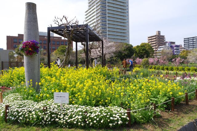 色鮮やかな多様な植物が楽しめます。