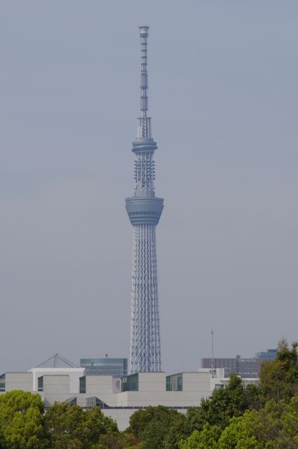 東京スカイツリーをズーム。