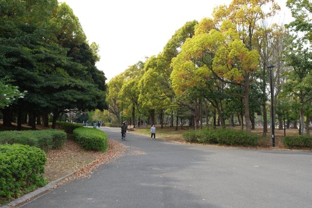 南側と比べて静かで木の下のベンチでくつろぐ人も。