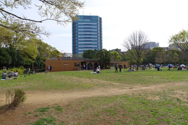 公園に溶け込むカフェなどが入る建物も。