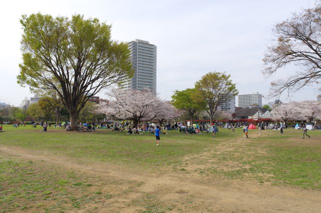 自然豊かな広大な公園、本当に沢山の人が憩います。