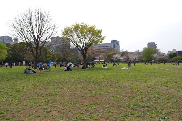 都市には貴重な大きな公園です。