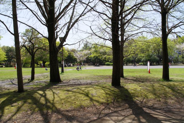 左に広い芝生広場が見えます。遊ぶ子供達の姿も。