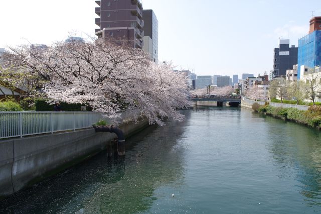 後方を振り返る。ここだけは片側のみ。