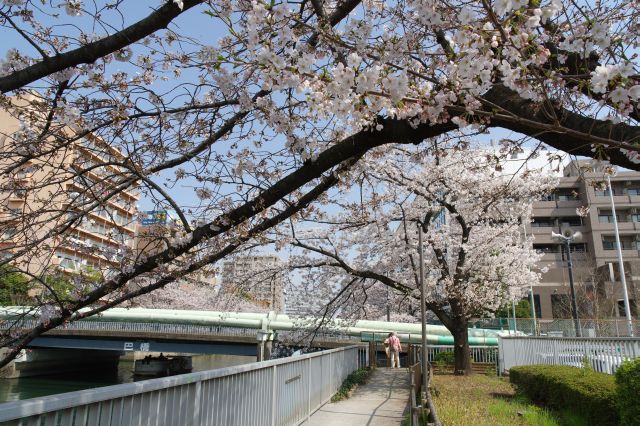 次の巴橋へ。