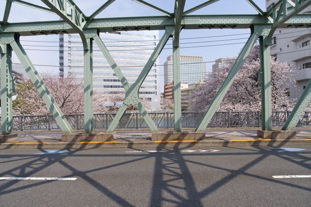 この先も少しだけ桜があります。